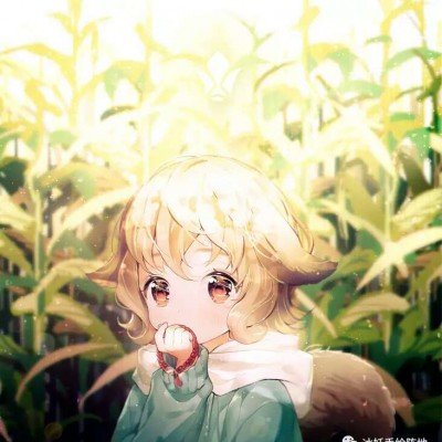 “闽超”龙岩vs莆田